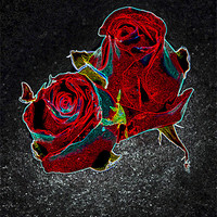 Buy canvas prints of Savage Roses by David Birchall