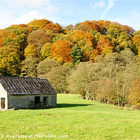 Buy canvas prints of Change Of Season in Derbyshire by David Birchall