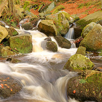 Buy canvas prints of Woodland stream In autumn at Padley Gorge. by David Birchall