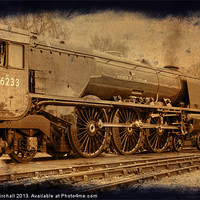 Buy canvas prints of Duchess in Sepia by David Birchall
