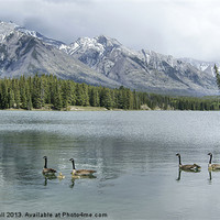 Buy canvas prints of Johnson Lake, Banff National Park, Canada by David Birchall