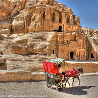 Buy canvas prints of Donkey carriage at Petra by David Birchall