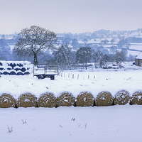 Buy canvas prints of Winter on a remote Derbyshire farm. by David Birchall