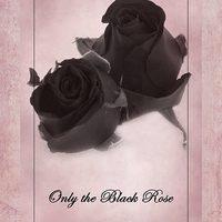 Buy canvas prints of Only The Black Rose by David Birchall