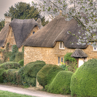 Buy canvas prints of Oxfordshire Thatch at Great Tew by David Birchall