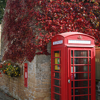 Buy canvas prints of  Red Telephone Box in Nottinghamshire by David Birchall
