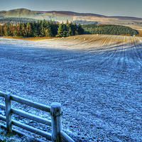 Buy canvas prints of  Frosty Day in West Lothian by David Birchall