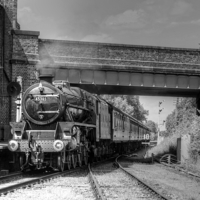 Buy canvas prints of  Arrival at Quorn by David Birchall
