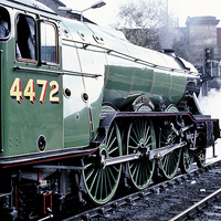 Buy canvas prints of  4472 Flying Scotsman by David Birchall