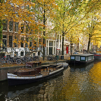 Buy canvas prints of Autumn In Amsterdam  by David Birchall