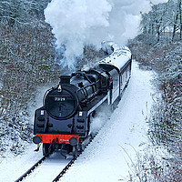 Buy canvas prints of Steam locomotive 73129 In Snow by David Birchall