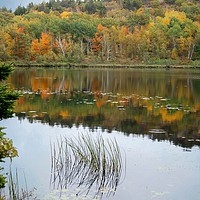 Buy canvas prints of Autumn Reflections in New England. by David Birchall