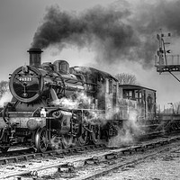 Buy canvas prints of Steam locomotive 46521 at Swithland. by David Birchall