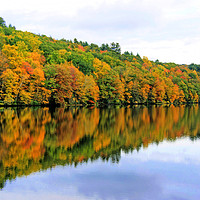 Buy canvas prints of Fall Reflections in New England, America. by David Birchall