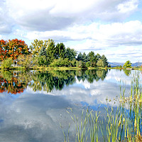 Buy canvas prints of Autumn reflections on a New England lake, America. by David Birchall