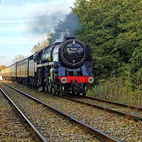 Buy canvas prints of 70013 Oliver Cromwell approaching Rothley. by David Birchall