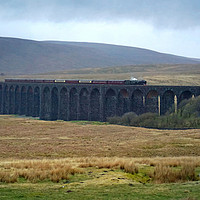Buy canvas prints of Steam train crossing Ribblehead Viaduct by David Birchall