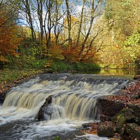 Buy canvas prints of Autumn Flow by David Birchall