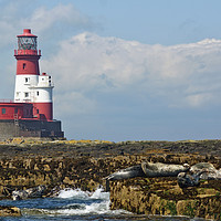 Buy canvas prints of Longstone Lighthouse, Farne Islands by David Birchall