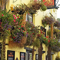 Buy canvas prints of Golden Lion pub, Padstow, Cornwall by David Birchall