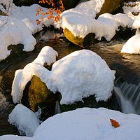 Buy canvas prints of Winter Stream Landscape by David Birchall