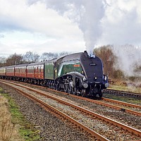 Buy canvas prints of 60009 Union Of South Africa approaching Hellifield by David Birchall