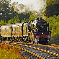 Buy canvas prints of Steam train 46115 Scots Guardsman  by David Birchall