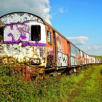 Buy canvas prints of Derelict railway carriages covered in graffiti. by David Birchall