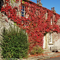 Buy canvas prints of Autumn colour in Downham village, Lancashire. by David Birchall
