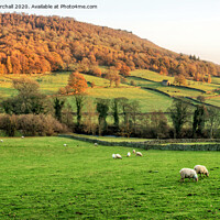 Buy canvas prints of Autumnal colour near Grindleford, Derbyshire. by David Birchall