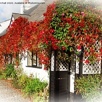 Buy canvas prints of Autumn colour in Scorton, Lancashire. by David Birchall