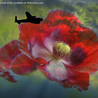 Buy canvas prints of Lancaster Bomber and Poppies. by David Birchall