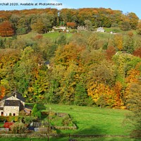 Buy canvas prints of Autumn colour in Calderdale, Yorkshire. by David Birchall