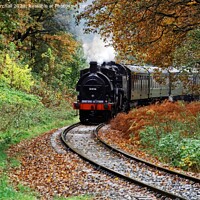 Buy canvas prints of Steam train approaching Summerseat, Lancashire. by David Birchall