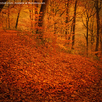 Buy canvas prints of Autumnal woodland with added tone and textures. by David Birchall