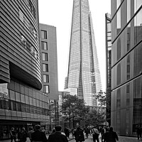 Buy canvas prints of The daily procession to The Shard. by David Birchall