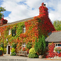 Buy canvas prints of The Old Eyre Arms pub, Hassop, Derbyshire. by David Birchall