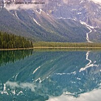 Buy canvas prints of Emerald Lake reflections, Yoho National Park, Canada by David Birchall