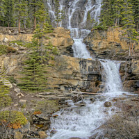 Buy canvas prints of Tangle Falls, Jasper National Park, Canada. by David Birchall