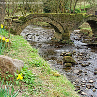 Buy canvas prints of Wycoller packhorse bridge and Wycoller Beck, Lanca by David Birchall