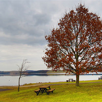 Buy canvas prints of Derwent Reservoir, Lonely Tree. by Helen Holmes