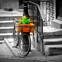 Buy canvas prints of Old Bicycle and Basket, Durham by Helen Holmes