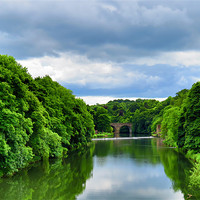 Buy canvas prints of Durham River Views by Helen Holmes