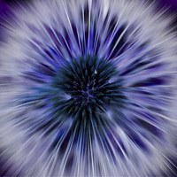 Buy canvas prints of Purple Zoom Burst Dandelion by Helen Holmes