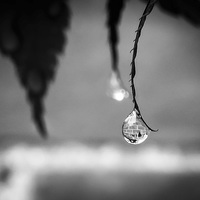 Buy canvas prints of Wall Captured in a Raindrop by Helen Holmes