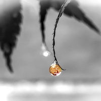 Buy canvas prints of The World through a Raindrop by Helen Holmes