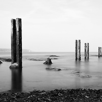 Buy canvas prints of  Wooden Posts Rising by Helen Holmes