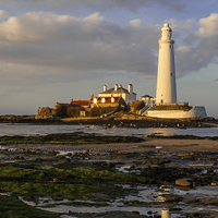 Buy canvas prints of  St Marys Lighthouse by Helen Holmes