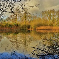Buy canvas prints of Reflections HDR by Alan Sutton