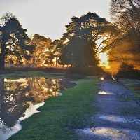 Buy canvas prints of Early reflections by Alan Sutton